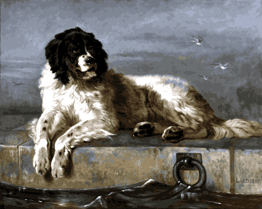 Dogs Collection PD - (1) - by Edwin Henry Mukaan Landseer - Van-Go Paint-By-Number Kit