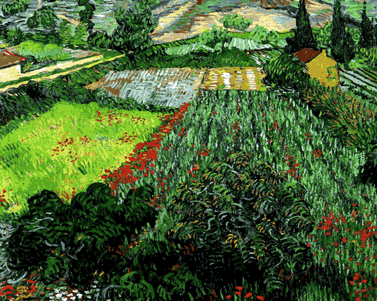 Van-Gogh Painting PD - (39) - Field with Poppies - Van-Go Paint-By-Number Kit