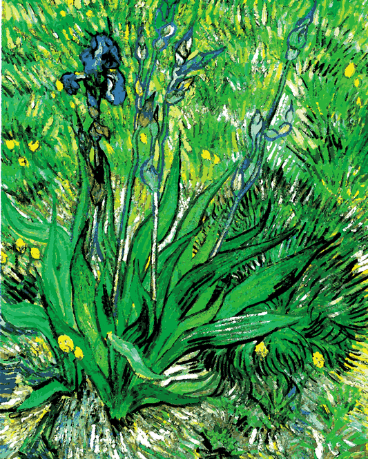 Vincent Van Gogh PD - (61) - Iris - Van-Go Paint-By-Number Kit