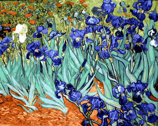 Vincent Van Gogh PD - (64) - Irises - Van-Go Paint-By-Number Kit