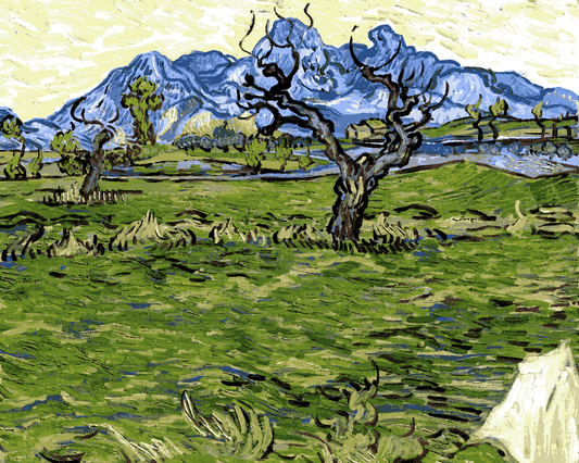 Van-Gogh Painting PD - (70) - Landscape with Olive Tree and Mountains - Van-Go Paint-By-Number Kit