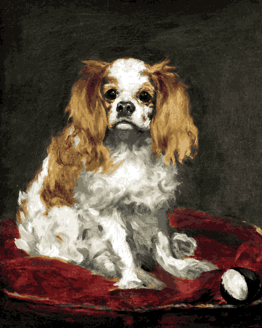 Dogs Collection PD (3) - A King Charles Spaniel by Edouard Manet - Van-Go Paint-By-Number Kit