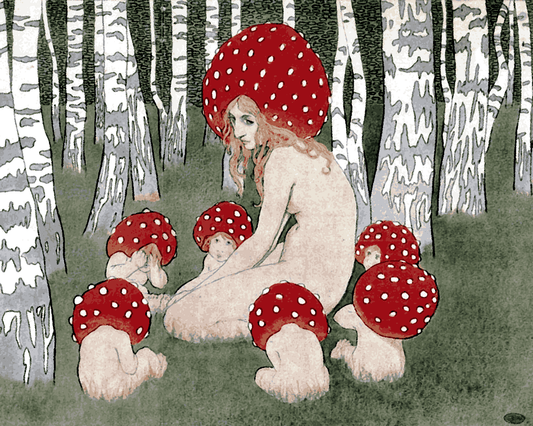 Edward Okuń Collection PD (9) - Mother Mushroom with her children - Van-Go Paint-By-Number Kit