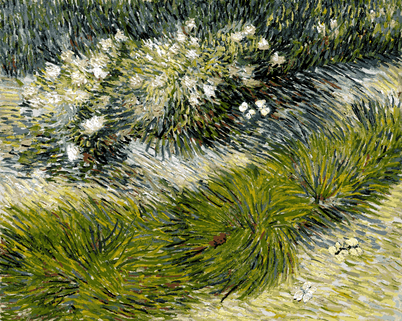 Van-Gogh Painting PD - (54) - Grass and Butterflies - Van-Go Paint-By-Number Kit