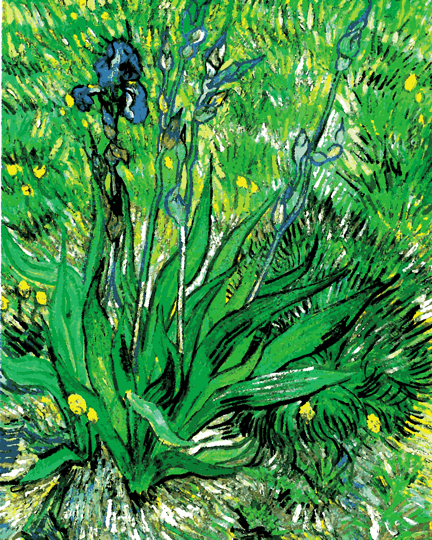 Van-Gogh Painting PD - (61) - Iris - Van-Go Paint-By-Number Kit