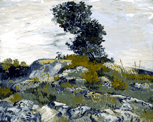 Van-Gogh Painting PD (99) - Rocks - Van-Go Paint-By-Number Kit