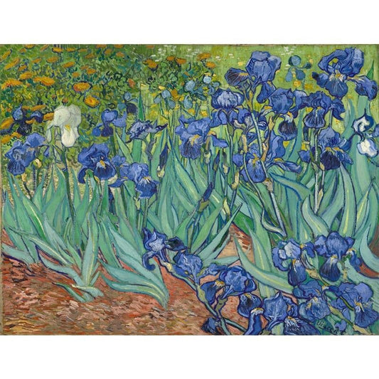 Irises by Vincent Van Gogh - Van-Go Paint-By-Number Kit