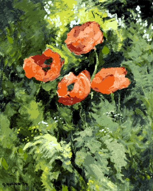 Wild Poppies by Gustav Macoun - Van-Go Paint-By-Number Kit