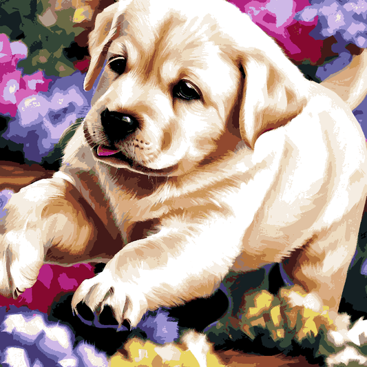 Labrador puppy PD (1) - Van-Go Paint-By-Number Kit