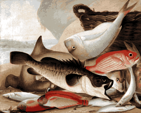 Fish catch and Dawes Point, Sydney Harbour - Van-Go Paint-By-Number Kit