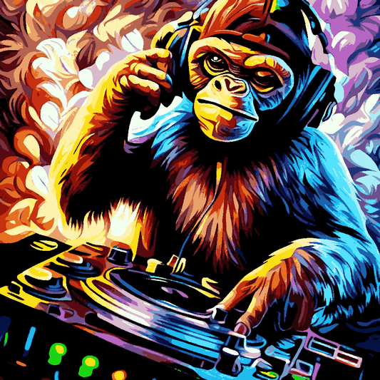 D.J. Monkey (2) - Van-Go Paint-By-Number Kit