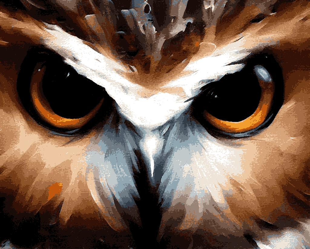 Owl eyes (1) - Van-Go Paint-By-Number Kit