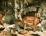 Fallow Deer by Wilhelm Kuhnert - Van-Go Paint-By-Number Kit