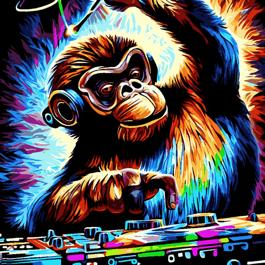 D.J. Monkey (1) - Van-Go Paint-By-Number Kit