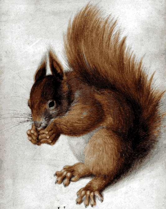 Red Squirrel by Hans Hoffmann - Van-Go Paint-By-Number Kit