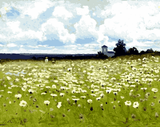 Field of Daisies by Efim Volkov - Van-Go Paint-By-Number Kit
