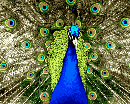 A Bluish Peacock (2) - Van-Go Paint-By-Number Kit