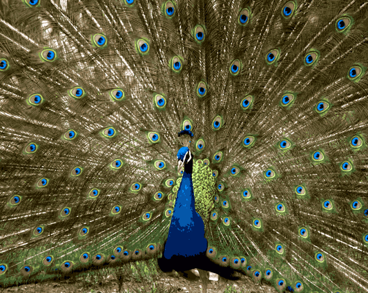 A Bluish Peacock (4) - Van-Go Paint-By-Number Kit