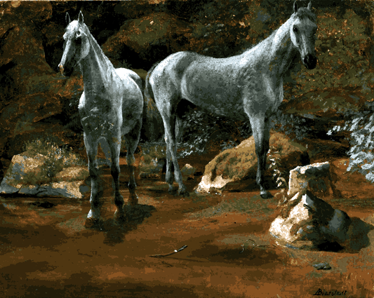 Study of Wild Horses by Albert Bierstadt - Van-Go Paint-By-Number Kit