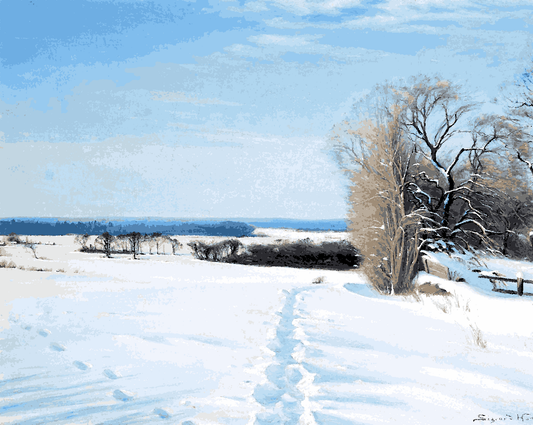 Footprints in the snow by Sigvard Marius Hansen - Van-Go Paint-By-Number Kit