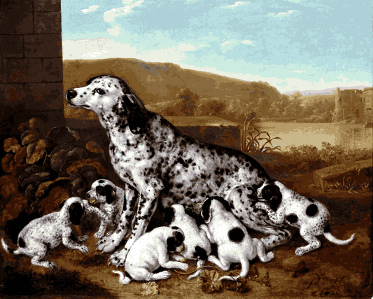 Dalmatian dog with puppies by Pieter van der Hulst - Van-Go Paint-By-Number Kit