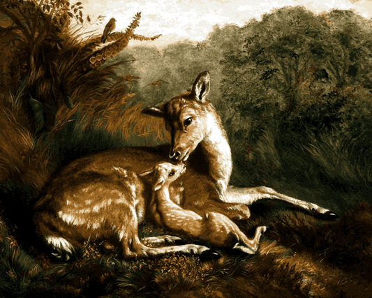 Deer and Fawn by Arthur Fitzwilliam Tait - Van-Go Paint-By-Number Kit