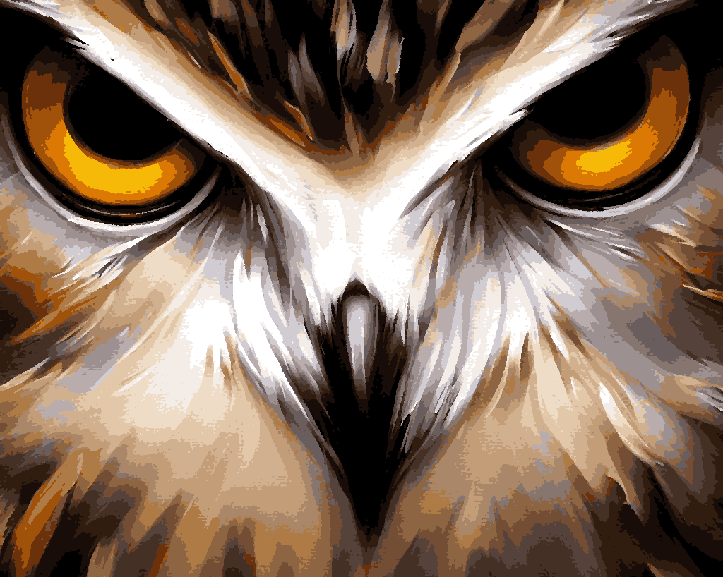 Owl eyes (2) - Van-Go Paint-By-Number Kit