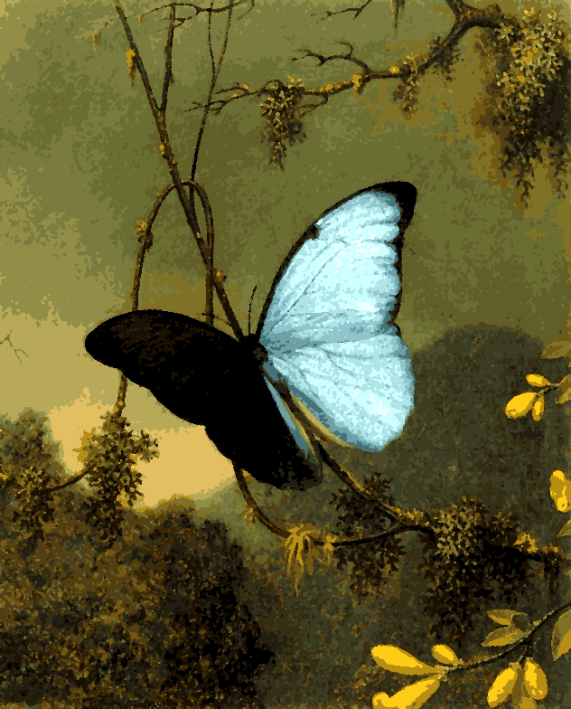 Blue Butterfly by Martin Johnson Heade - Van-Go Paint-By-Number Kit