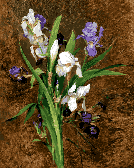 Irises by Rudolf Ribarz - Van-Go Paint-By-Number Kit