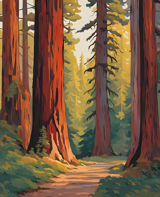 California Redwoods (1) - Van-Go Paint-By-Number Kit
