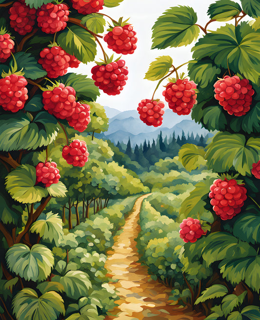 A Raspberry Bush (3) - Van-Go Paint-By-Number Kit
