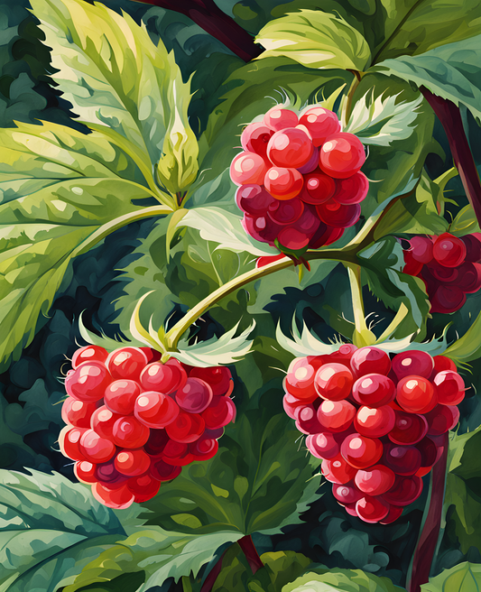 A Raspberry Bush (1) - Van-Go Paint-By-Number Kit