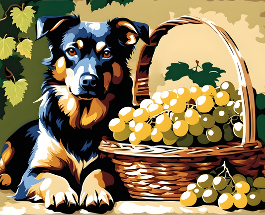 Dogs Collection PD (58) - Dog Guarding a Basket of Grapes - Van-Go Paint-By-Number Kit