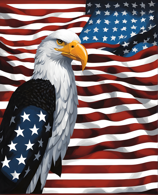 United States of America Flag PD (13) - Van-Go Paint-By-Number Kit