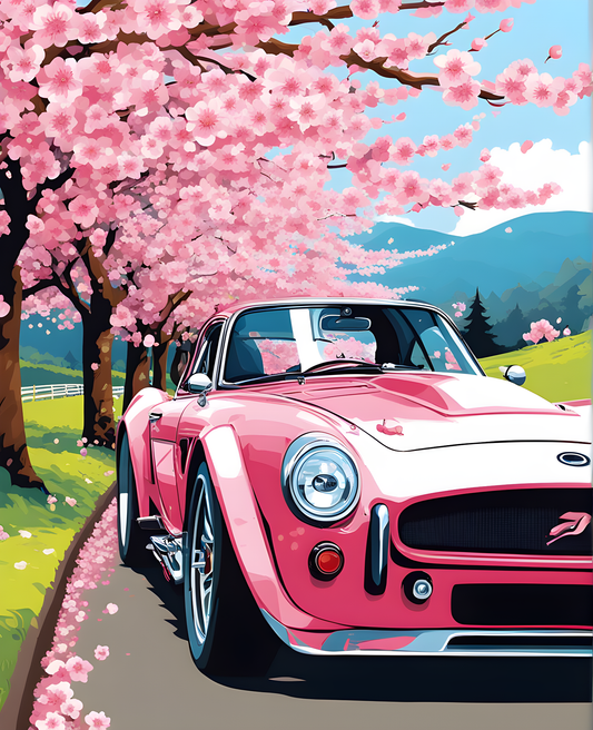Cherry Blossom Car (3) - Van-Go Paint-By-Number Kit