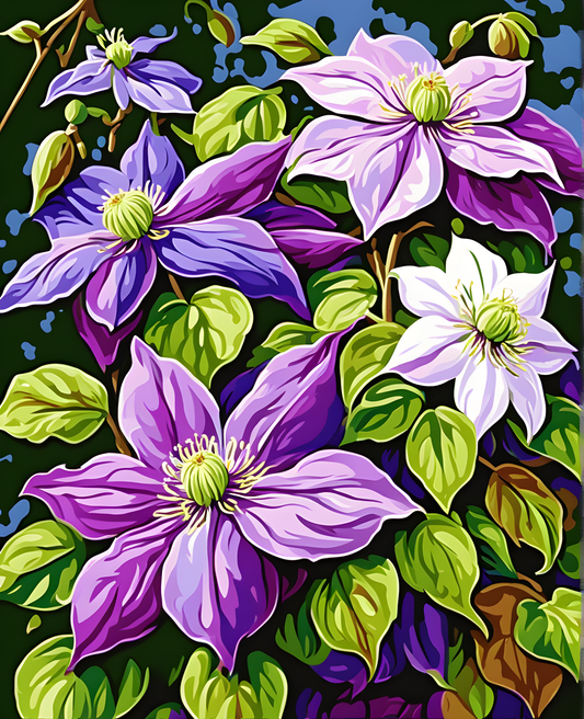 Flowers Collection OD (47) - Clematis - Van-Go Paint-By-Number Kit