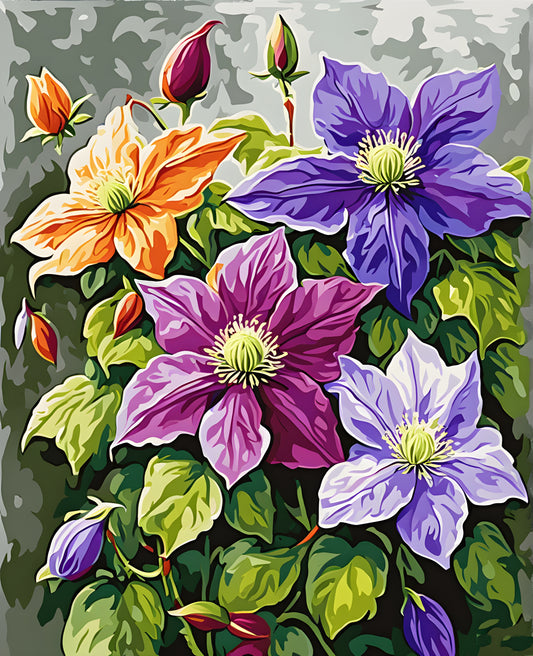 Flowers Collection OD (43) - Clematis - Van-Go Paint-By-Number Kit