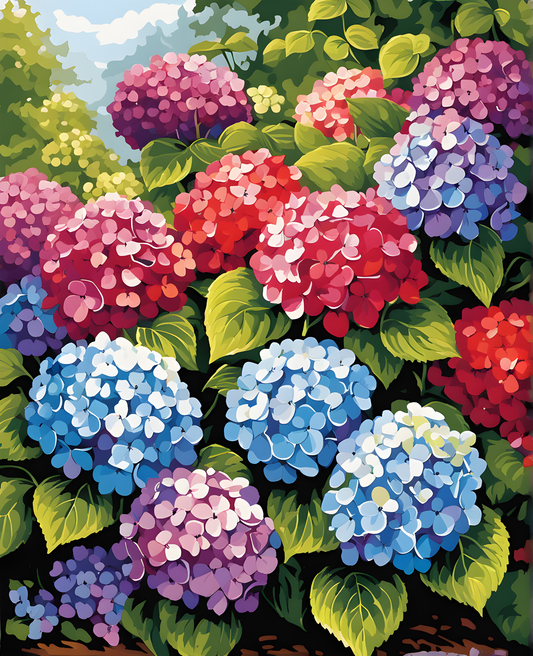Flowers Collection OD (9) - Hydrangea - Van-Go Paint-By-Number Kit