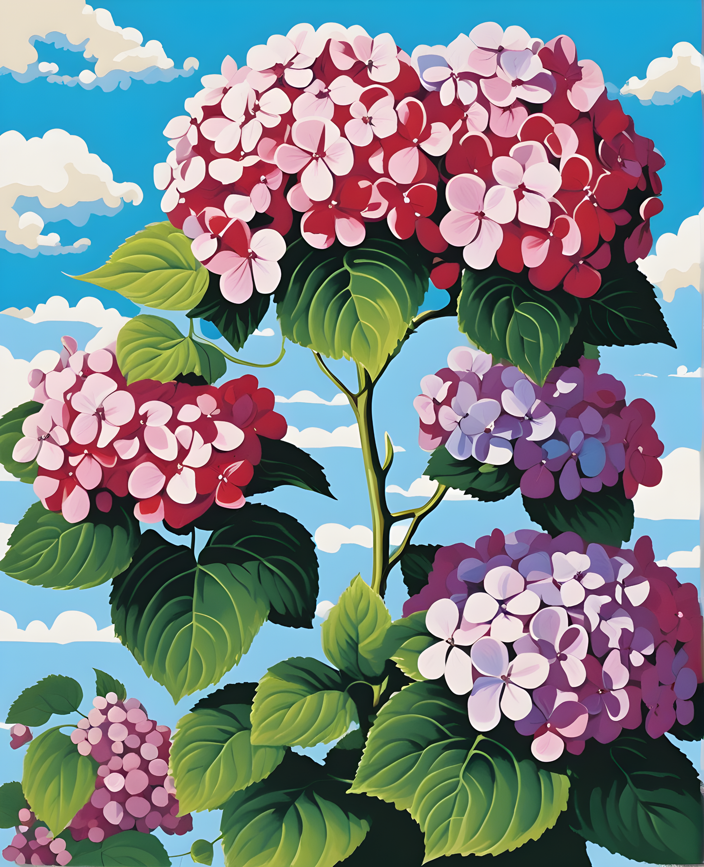 Flowers Collection OD (7) - Hydrangea - Van-Go Paint-By-Number Kit