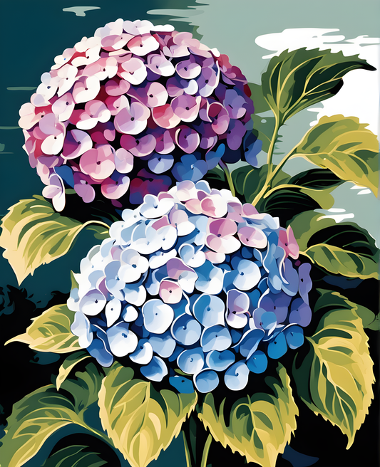 Flowers Collection OD (3) - Hydrangea - Van-Go Paint-By-Number Kit