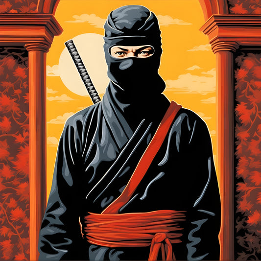 Ninja Collection (8) - Van-Go Paint-By-Number Kit