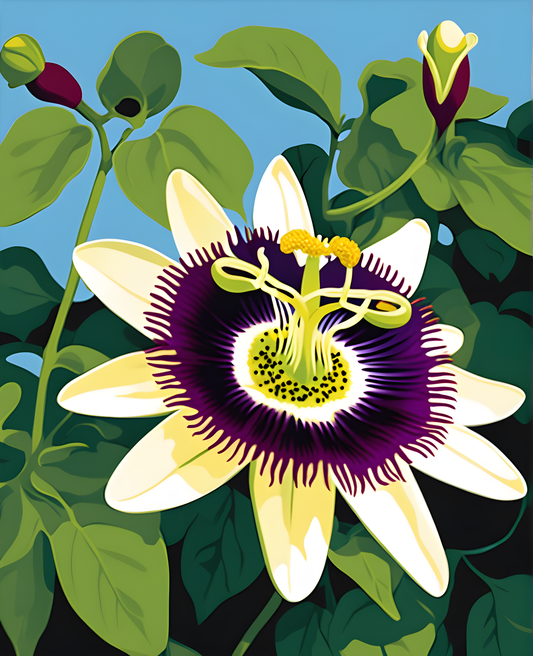 Flowers Collection OD (93) - Passion flower - Van-Go Paint-By-Number Kit