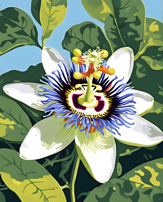 Flowers Collection OD (90) - Passion flower - Van-Go Paint-By-Number Kit