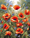 Poppies (3) - Van-Go Paint-By-Number Kit