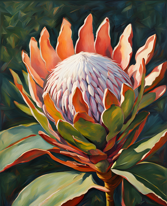 Exotic Flowers Collection (62) - King Protea Flower - Van-Go Paint-By-Number Kit