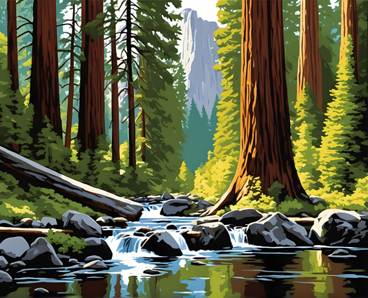 Redwood forest, Yosemite valley (1) - Van-Go Paint-By-Number Kit