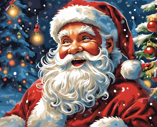 Santa Claus surprise (1) - Van-Go Paint-By-Number Kit