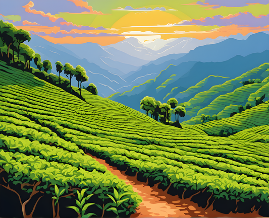 Amazing Places OD (298) - Tea Plantations of Munnar, India - Van-Go Paint-By-Number Kit