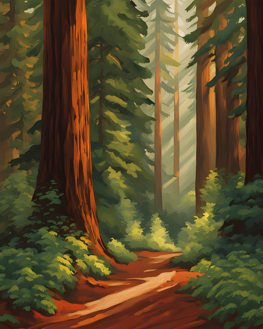 USA Great Places (53) - Redwood Forest Serenity, California - Van-Go Paint-By-Number Kit