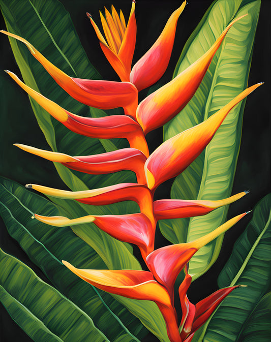 Exotic Flowers Collection (4) - Heliconia Vibrance - Van-Go Paint-By-Number Kit